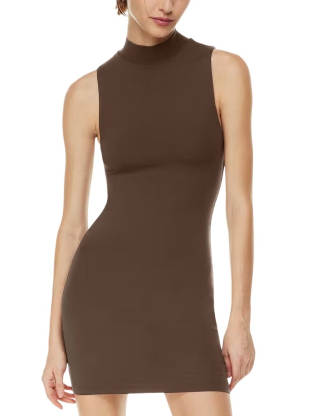 Babaton Contour Sleeveless Mockneck Mini Dress Coffee Bean Brown Small